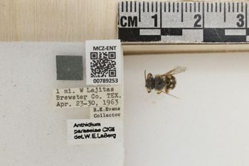 Media type: image;   Entomology 789253 Aspect: Labels